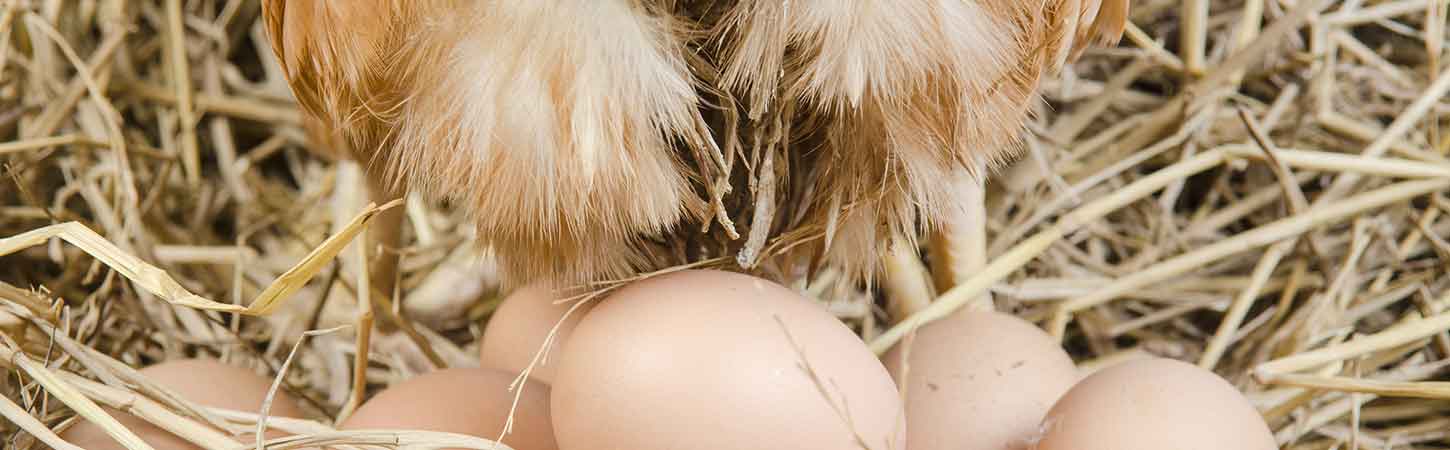 MX-UX_oder_UX-MX Keyvisual