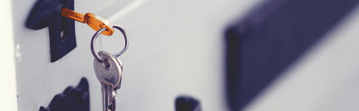 Schlüssel zur Optimierung von NPS, CSAT und Verkaufszahlen